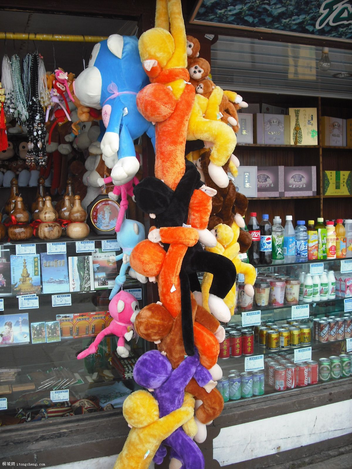 ��üɽ�����