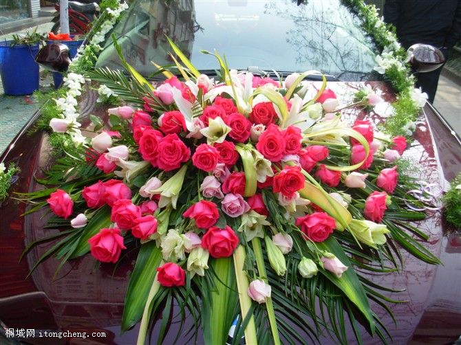 ��һ ��ά��˹�����硷�鳵