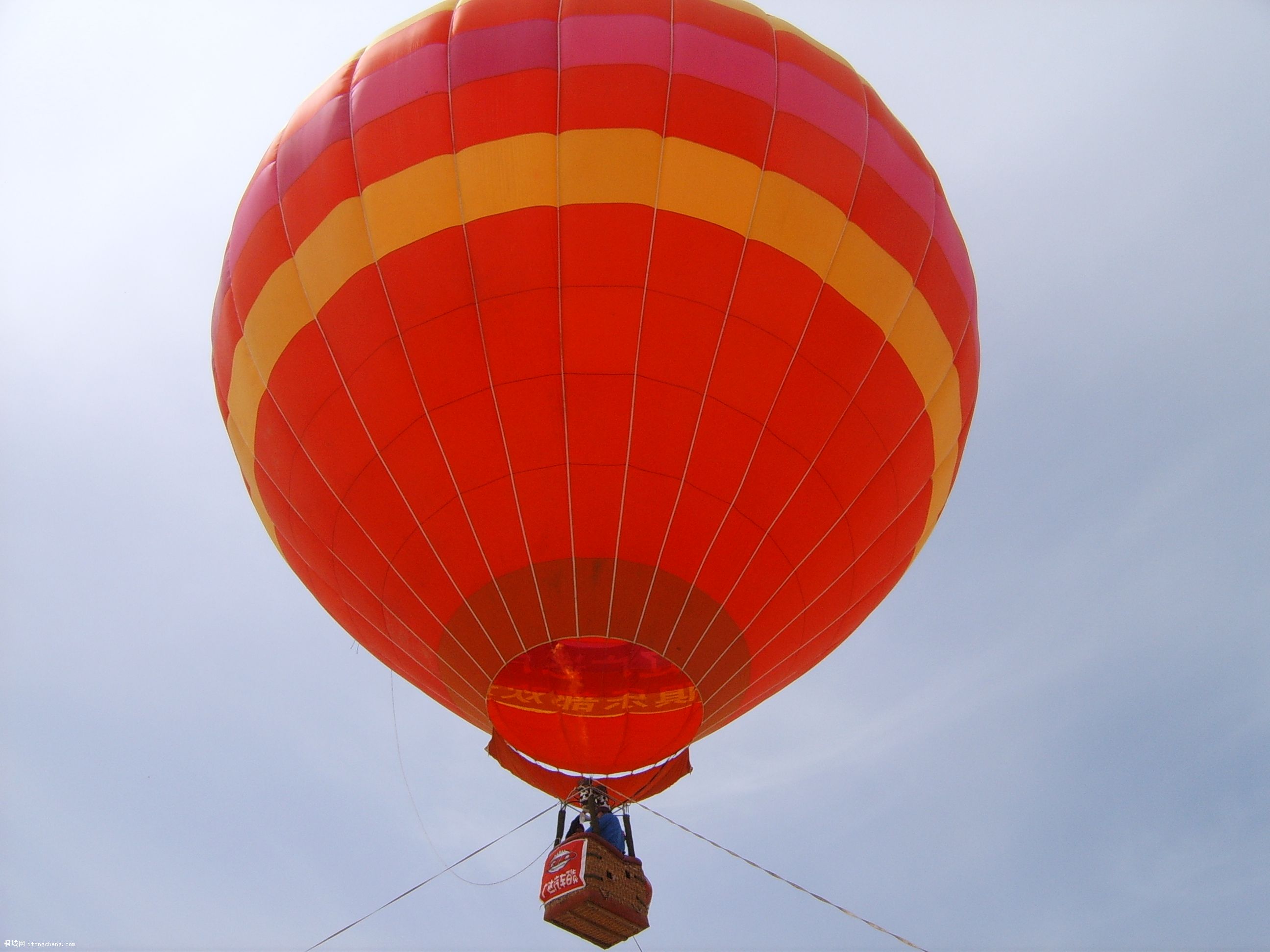 �ŷ�������