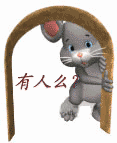 XAR73J7YP$RPW{P9(NTW.GIF