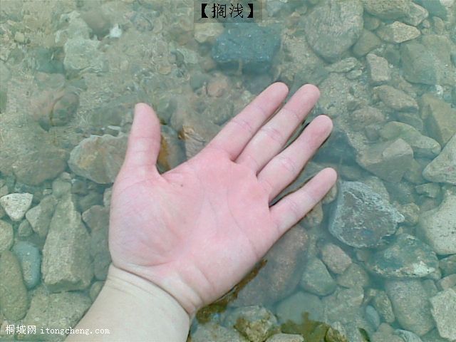 20100512_001.jpg