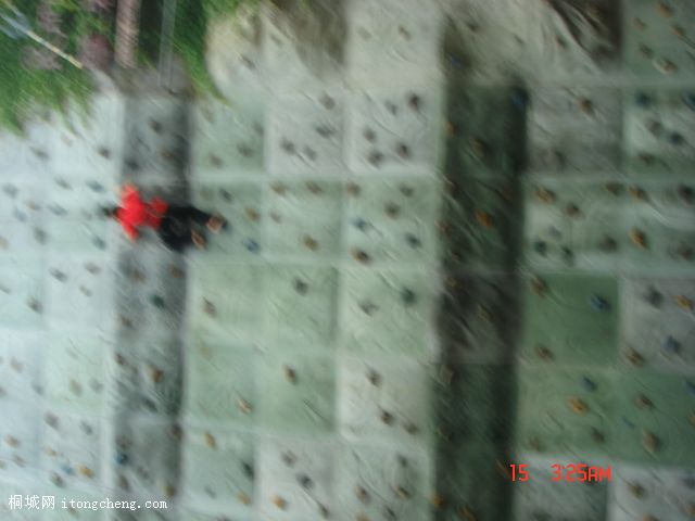 DSC02630.JPG