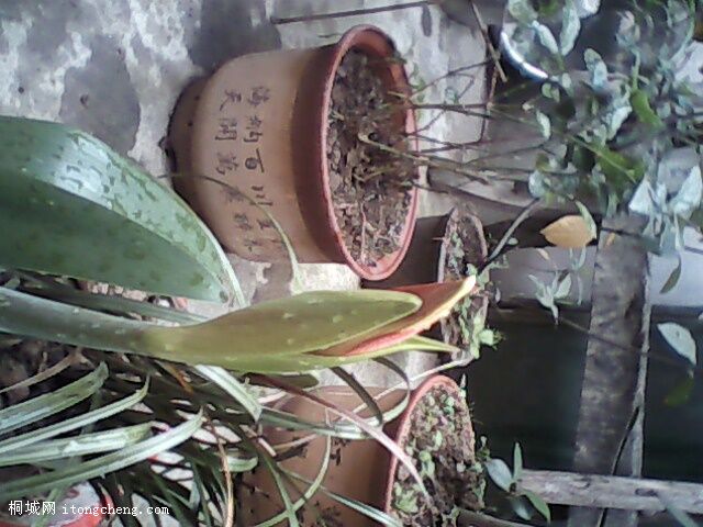 ��֪��ʲô��