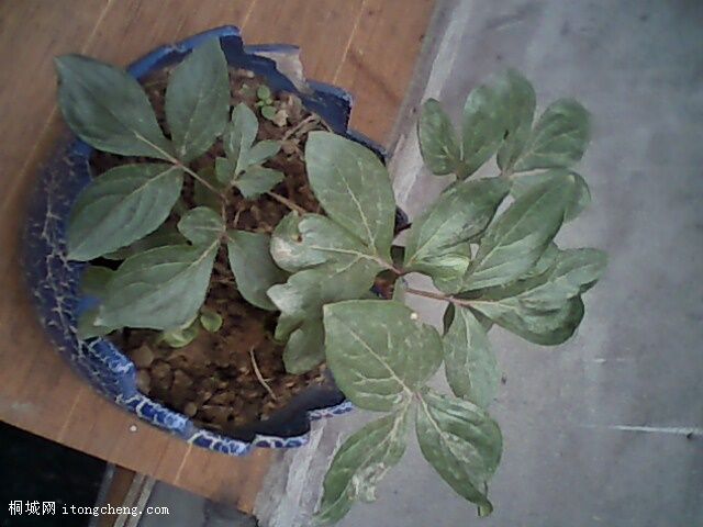 ��������������