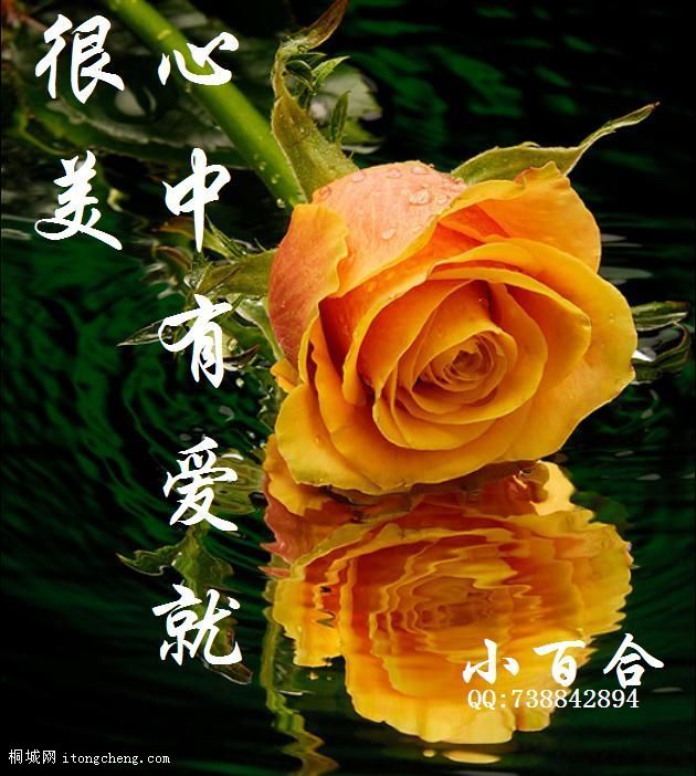 f20ea54e99695021b3de05d0.jpg