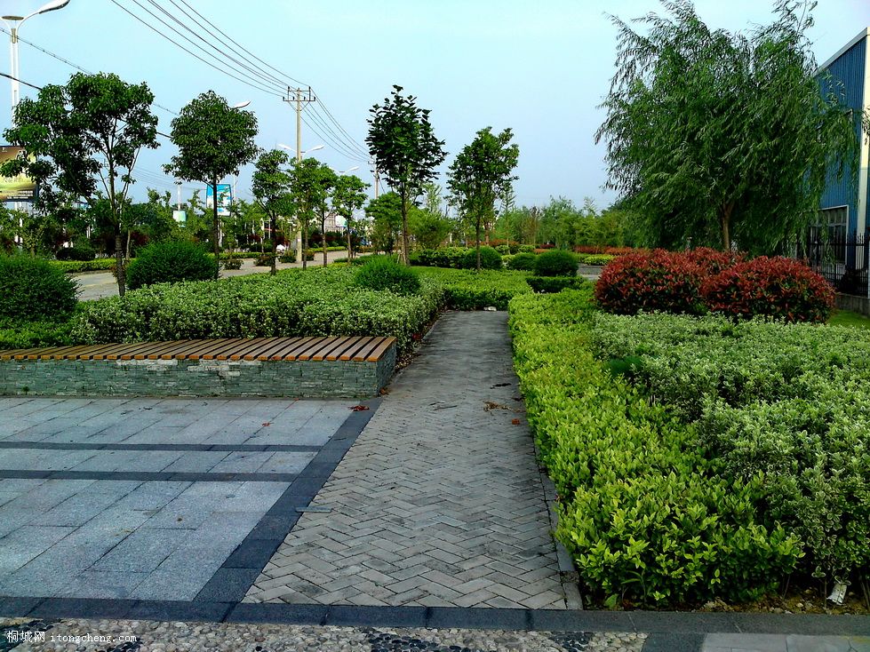 tt (3)_������С.JPG