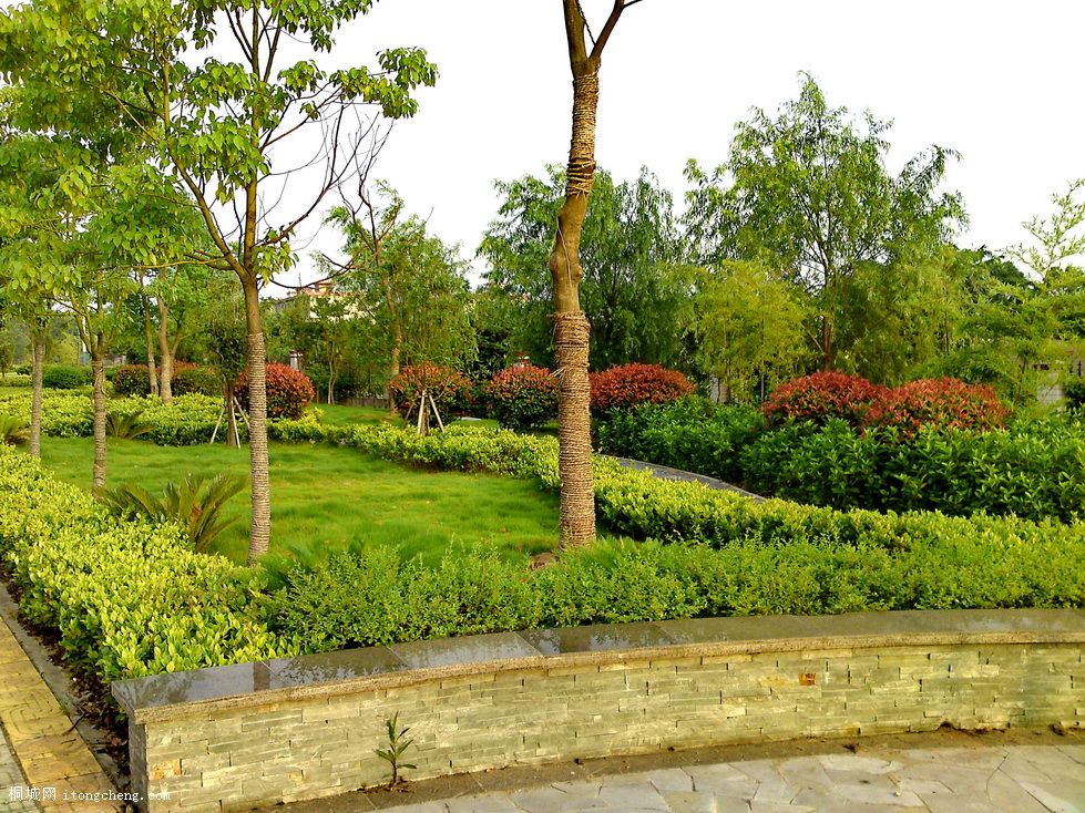 tt (6)_������С.JPG