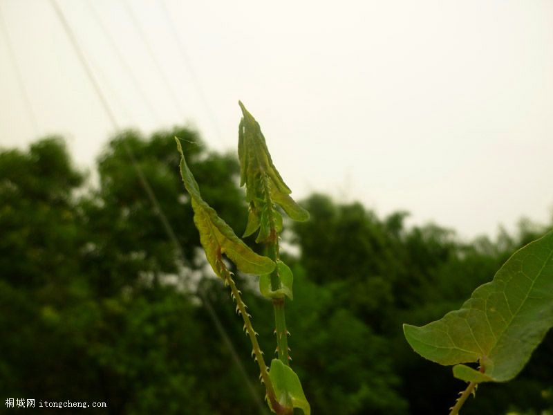 P1000124.JPG