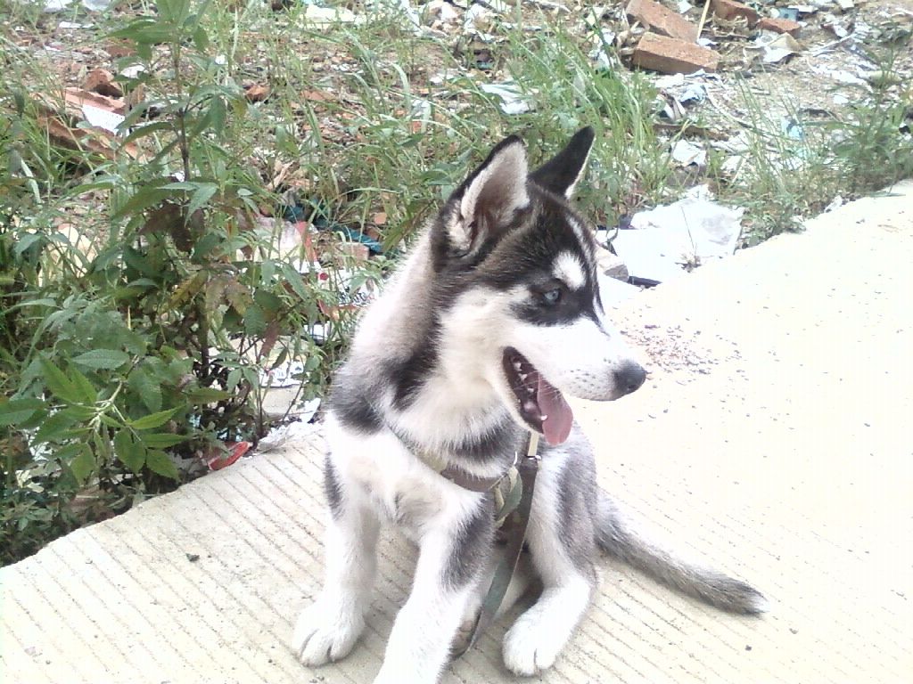 20100629164735.JPG