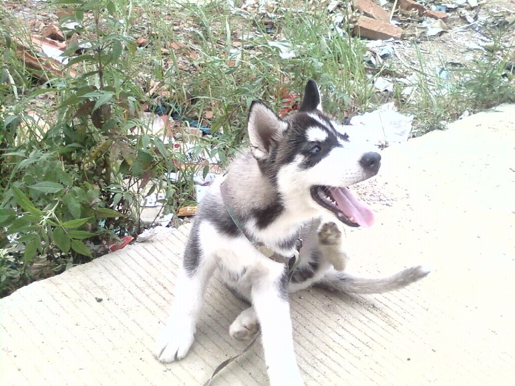 20100629164739.JPG
