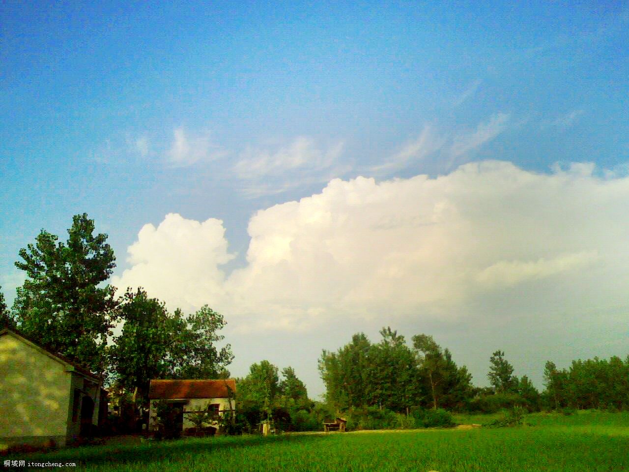 ���˵�����