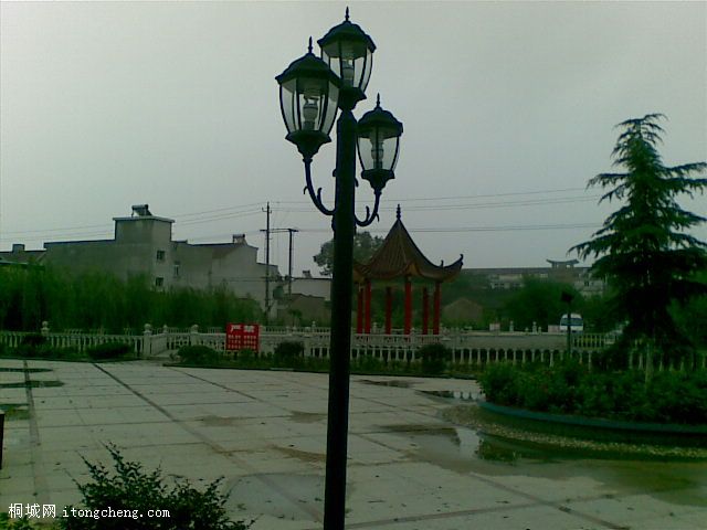 20100714_007.jpg