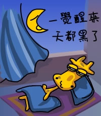 06.jpg