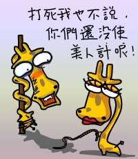 07.jpg