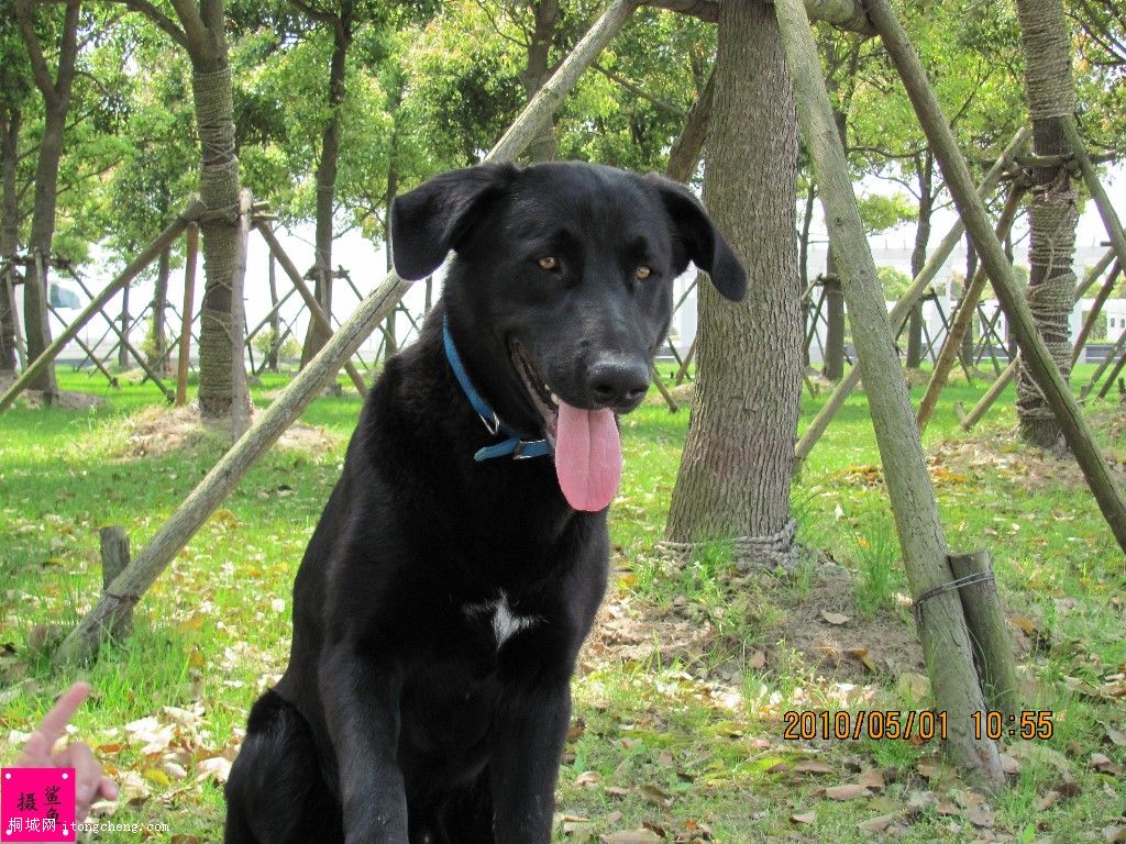 ��Ƭ 100_����_����.jpg