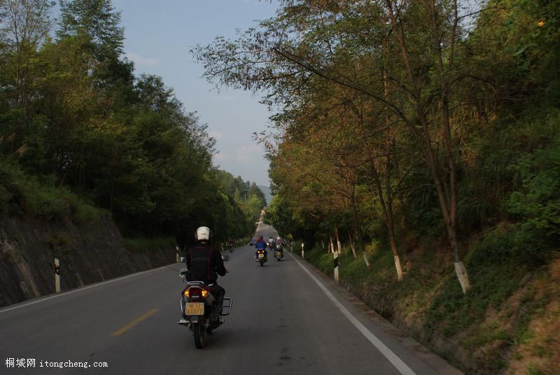 DSC01352.jpg