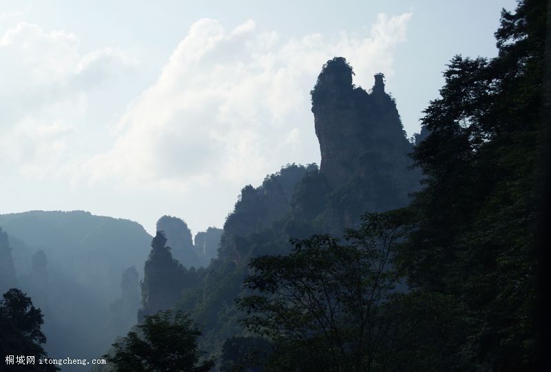 DSC01516.jpg