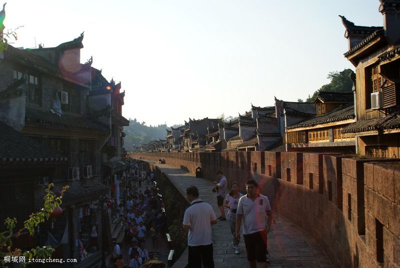 DSC01643.jpg