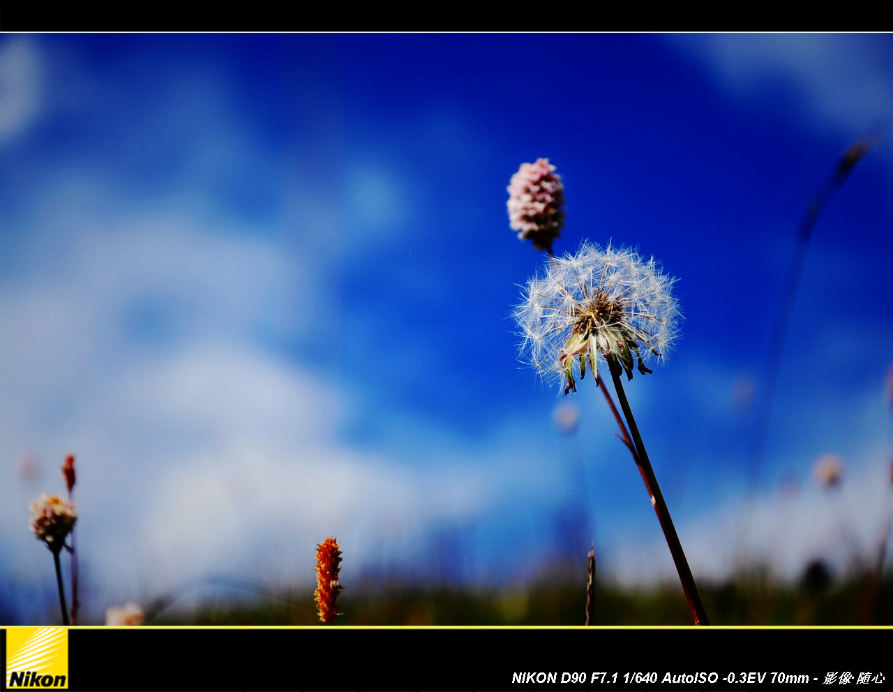 ���ط�� (7).jpg