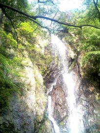 ͩ����ѩ��