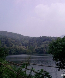 ���Ҹо���������Ҳ�����ԣ���Ҹ�����