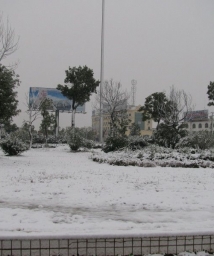 ��ѩ���Ǵ�ؿ���