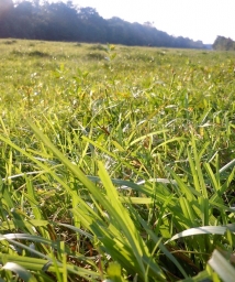 �Լ��ĵģ��й��ա���