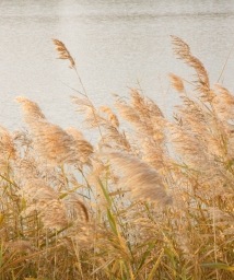 ����������3��«έ���л�����