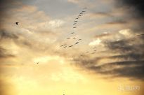 �����칫�Աȸ�