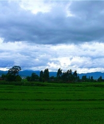 �����˼�