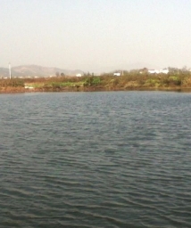 ��һ���ҼҺ������ȫ���� ���ⳤһ���