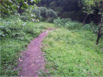 ������ɽ��é���ż�