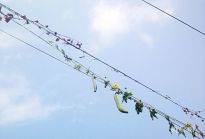 ͩ�ǵ�����С��