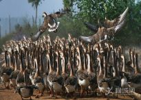 ���Ӻ�ʪ�� -- ��̬��԰ -- ���� ��֮��