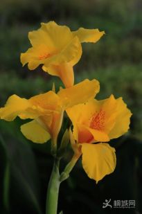 �ļ���ǧ��