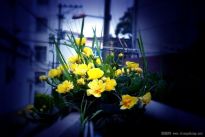 ��������----����������