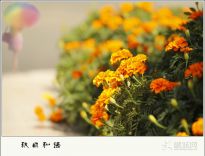 һ��һ��һ����-----������Ӱר����