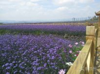 �����������ݺ���������ͷ