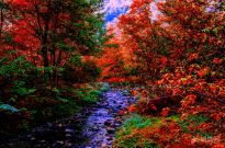 ������ɽ������