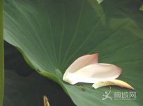 ���ȷ���