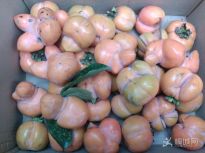 ���ι�״������