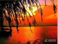 �����k�Ӻ�