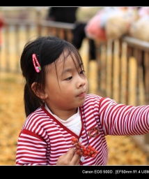 ��������ǧ�����ӹ�