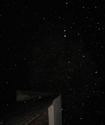 �ֲ������ź�