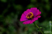 ɽ��ˮ�㣬��������