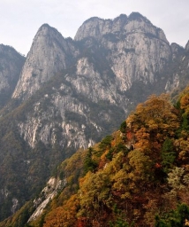 ����ɽ��ɫ