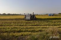 ��ũ�壬�����