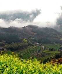 ����.����-----ͩ�Ƿ��