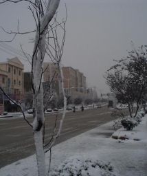 2009��ĵ�һ��ѩ